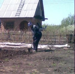 Закарпатские селяне в огороде откопали клад 