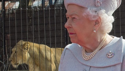 Фотограф приравнял Елизавету II к львице