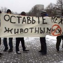 Экологи в Киеве показывали «Руки в крови» 