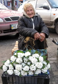 Подснежники стоят дороже, чем розы 