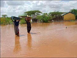 Из-за наводнений в Анголе уже пострадало более 125 тысяч человек 