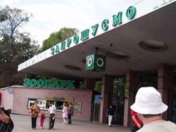 В Киевском зоопарке можно провести корпоративный праздник 