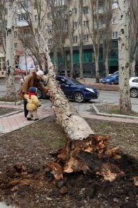 К ночи в город придет ураганный ветер  