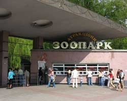 Киевский зоопарк меняет режим работы и будет праздновать юбилей круглый год 
