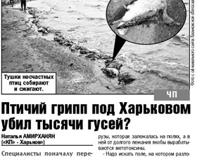 Харьковские гуси отравились цинком и железом 