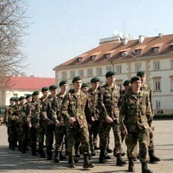 Власти Литвы попросили армию уйти в неоплачиваемый отпуск 