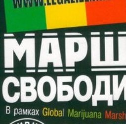 В Киеве повздорили любители марихуаны, националисты и противники «содомского греха»   
