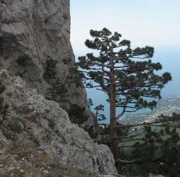 В Крыму турист сорвался со скалы 
