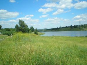 Вокруг главного городского водоема вырастет зеленая посадка  