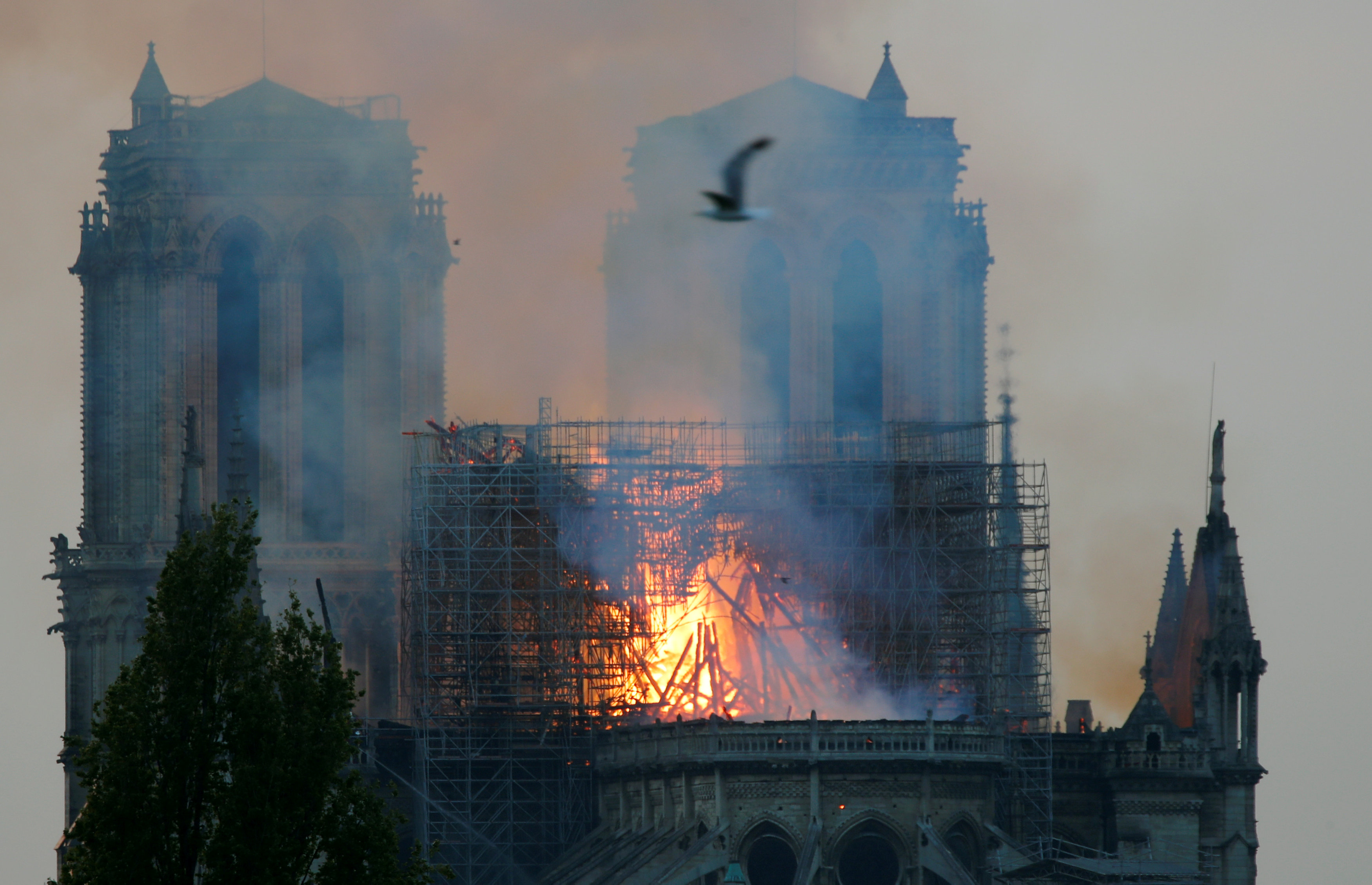 Пожар в парижской богоматери. Пожар в соборе Парижской Богоматери (2019).