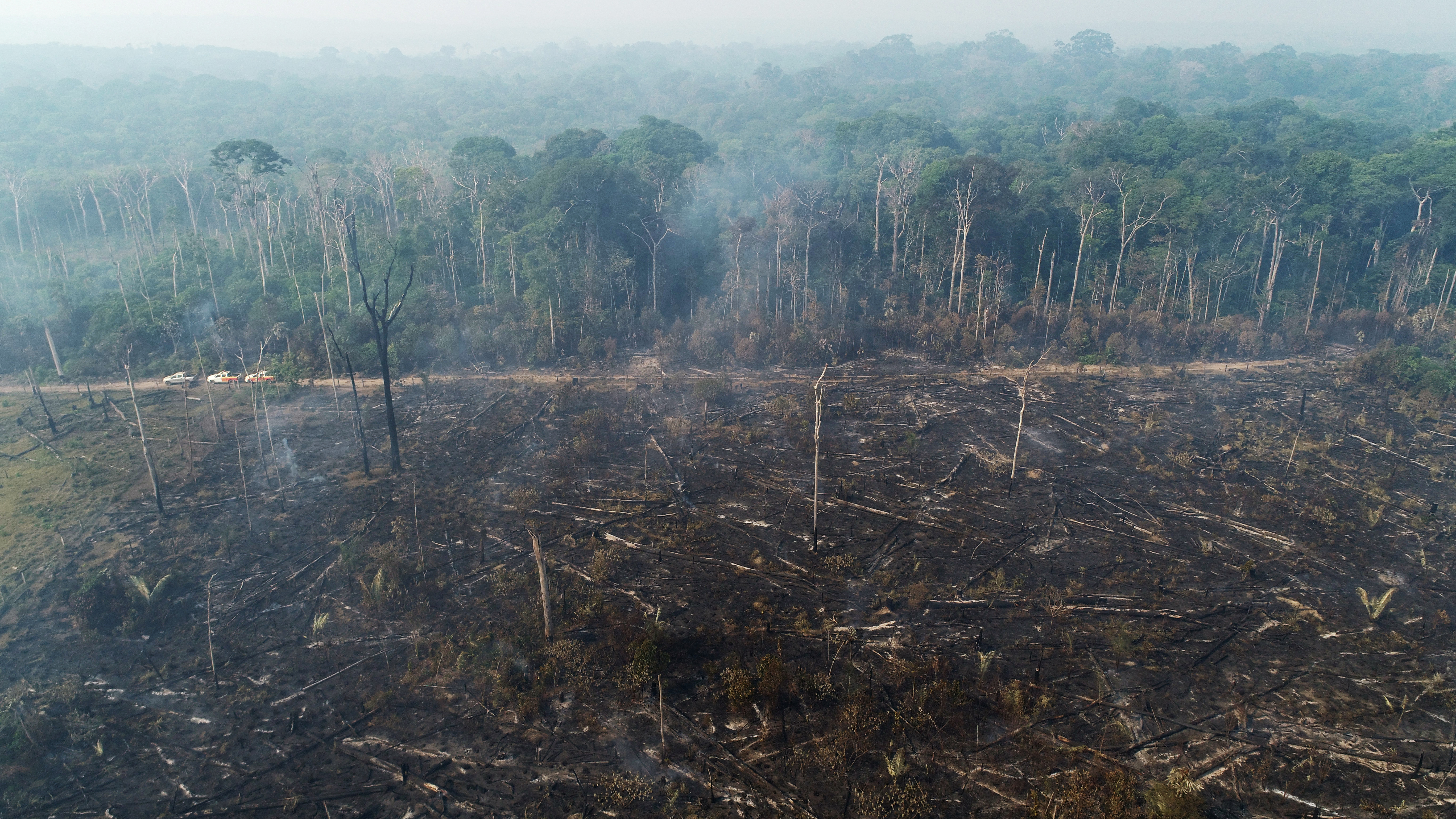 Обезлесивание. Обезлесение леса Амазонии,. Обезлесение Бразилии. Вырубка тропических лесов Амазонии. Обезлесение тропических лесов Африки.