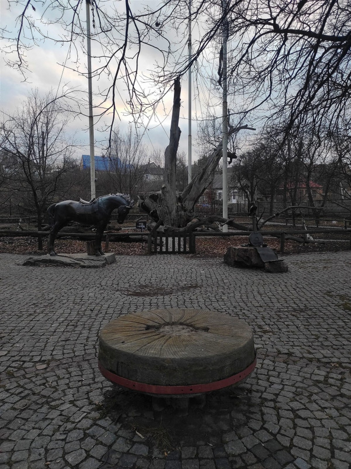 Так запорожский дуб выглядел в январе этого года. Фото: zprz.city