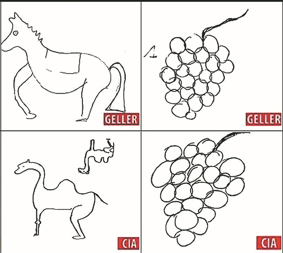 Одна з найуспішніших спроб. Біля грона, що було «послано», і у «прийнятої» навіть збіглося число виноградин. Їх було 24. Невелика помилка: замість посланого верблюда Урі намалював коня.