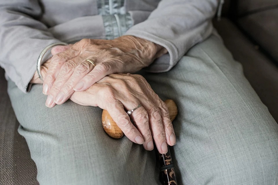 Традиционно ежегодная индексация пенсий для подавляющего большинства пенсионеров проходит 1 марта. Фото: изображение sabinevanerp / 318 images с сайта pixabay.com