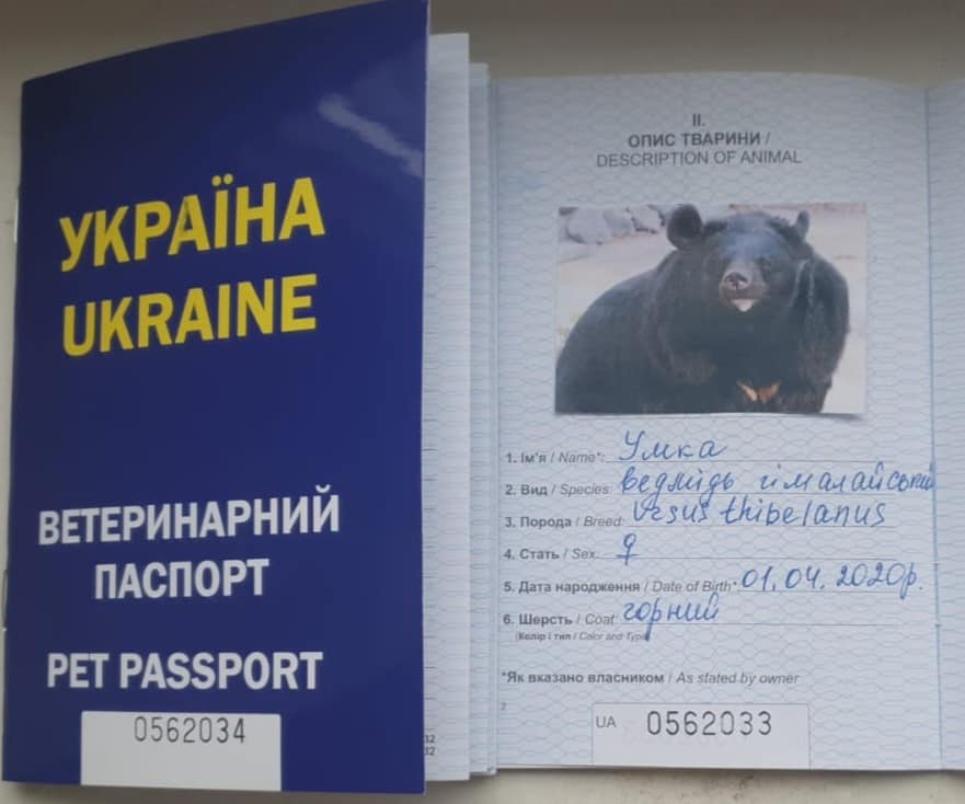 Чтобы пересечь границу, животным изготовили украинские паспорта. Фото: facebook.com/LVcustomsUA