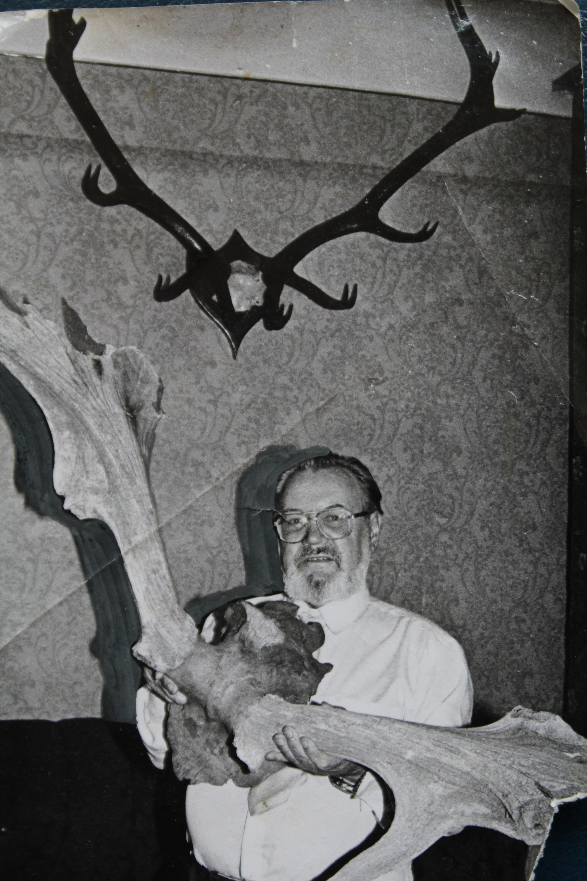 Зоолог с обломками рогов исполинского оленя. Фото: Личный архив Валентина Булахова