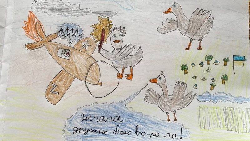 Боевые гуси сбили самолет врага. Фото: Светлана Вовк, Суспильне Николаев