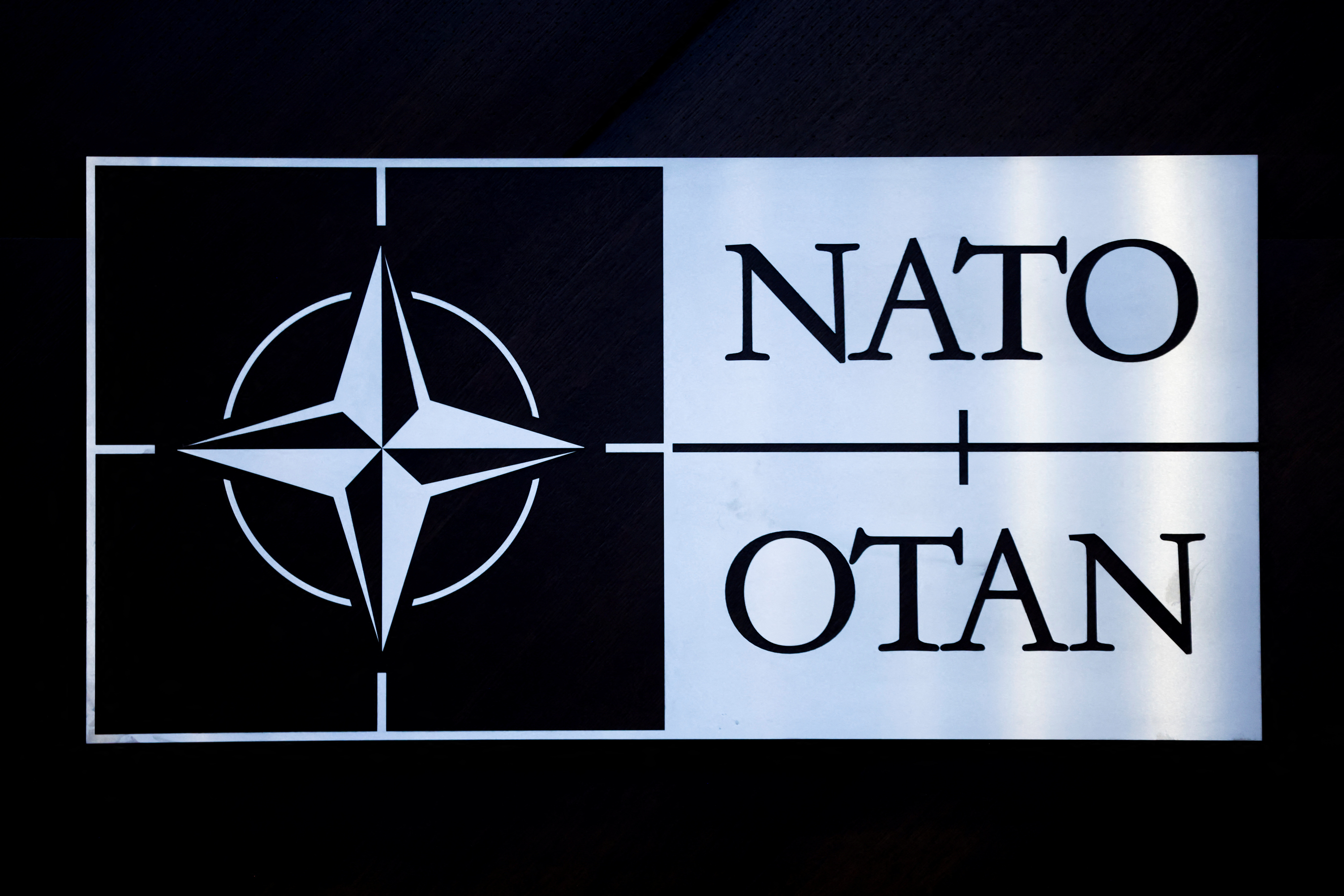 Найближчими роками вступу України до НАТО чекати не доводиться. Фото: REUTERS