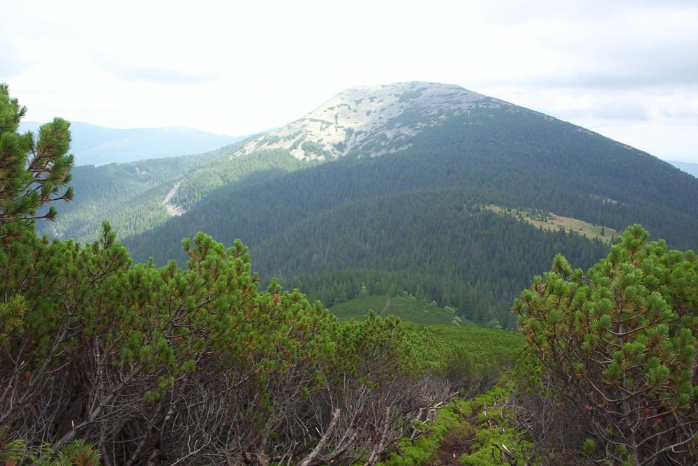 Гора Грофа находится на горном масиве Горганы.  Фото:Tomasz Kuran aka Meteor2017/commons.wikimedia.org