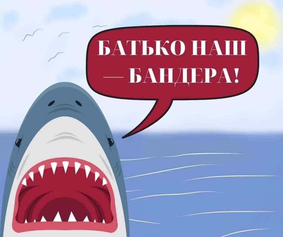 ​Акула - Сміючись над акулою, українці позбавляються стресу. Соцмережі