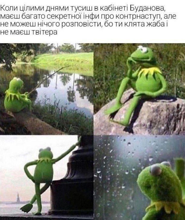 Анекдоти та меми тижня: навіть жаба Буданова знає більше про контрнаступ, ніж ти фото 1