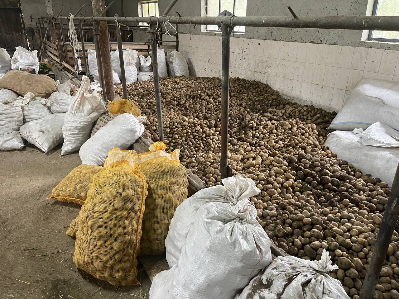 Цієї осені переселенці зібрали 7 тонн картоплі зі свого городу. Фото: facebook.com/gofriends.saveua