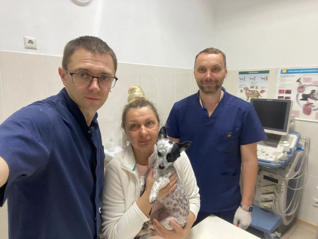 Команда на чолі з Андрієм Малишко вже знайшла нове приміщення і готові знову допомагати тваринам. Фото: instagram.com/vet_clinic_dr_malyshko​