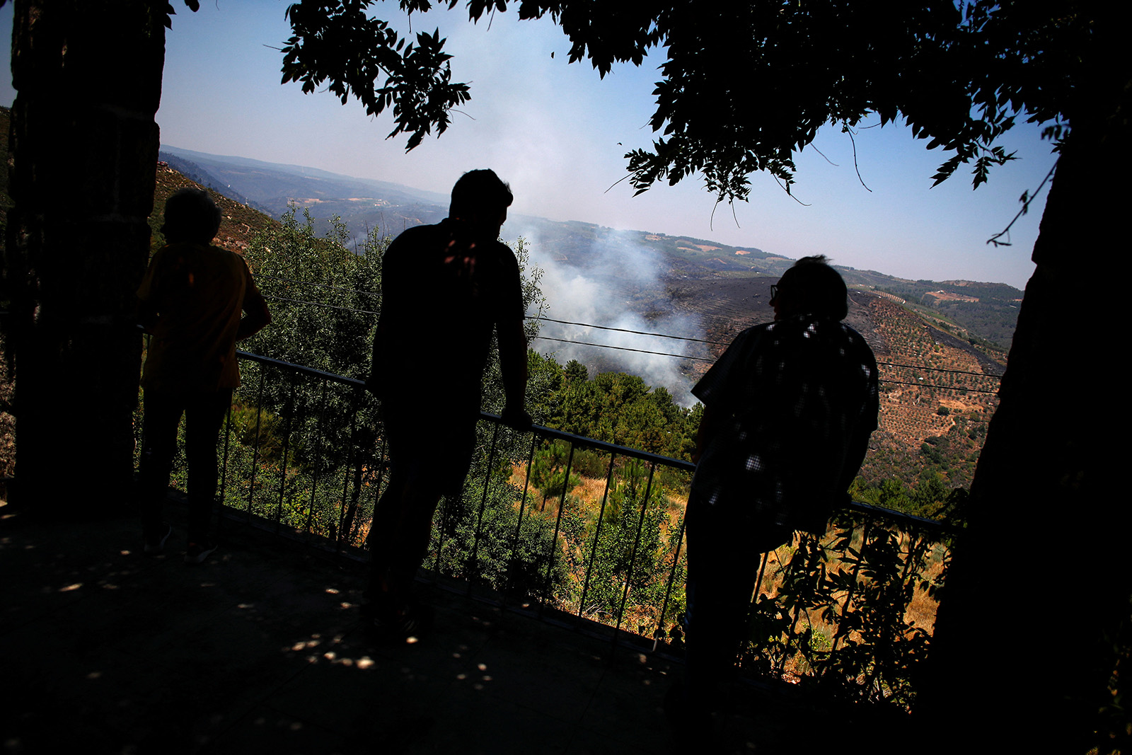 Лісові пожежі у Португалії. Фото: REUTERS/Pedro Nunes