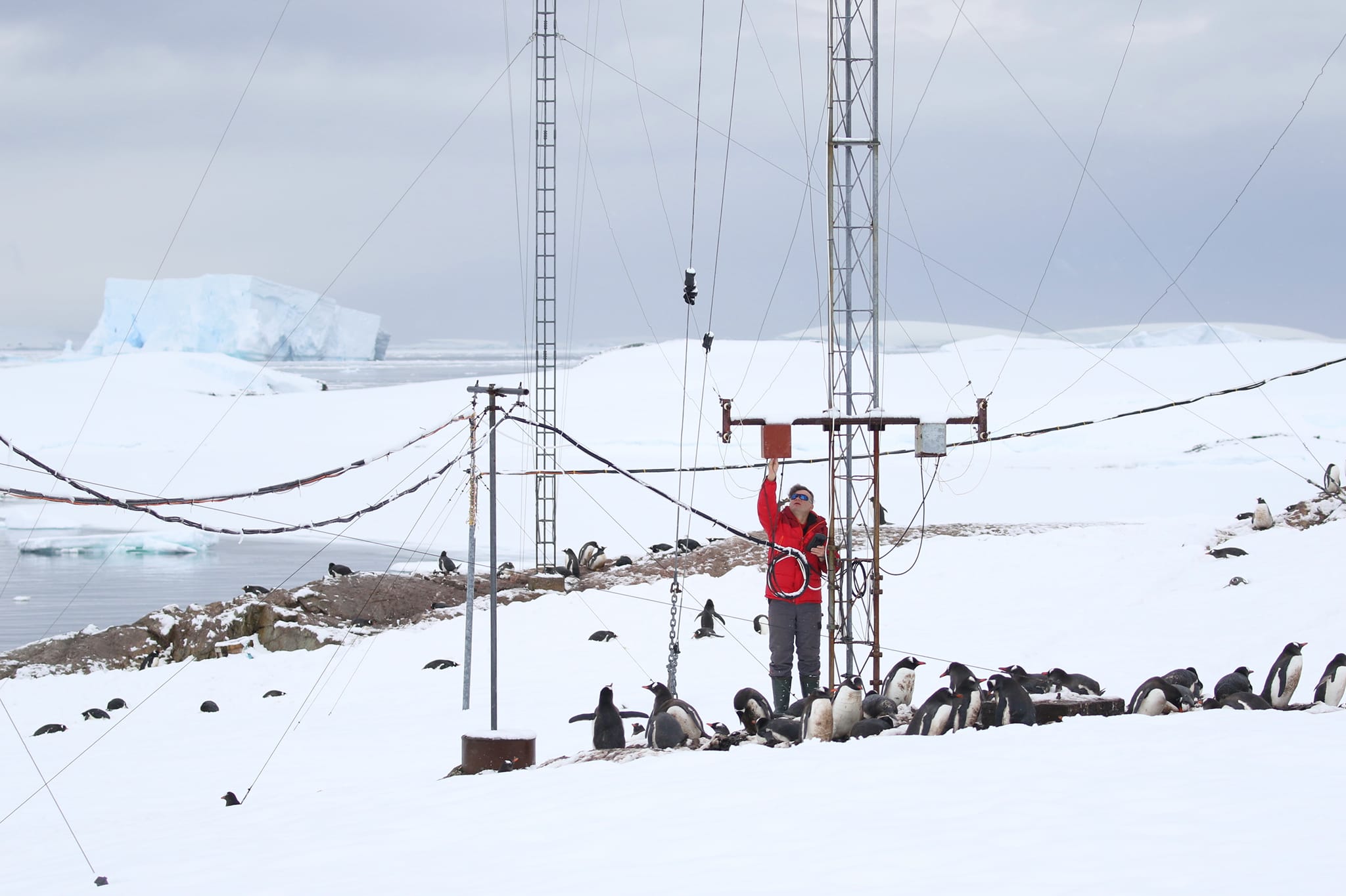 Перевертач пінгвінів – професія вигадана. Проте звички цих птахів біологи вивчають. Фото: facebook.com/AntarcticCenter