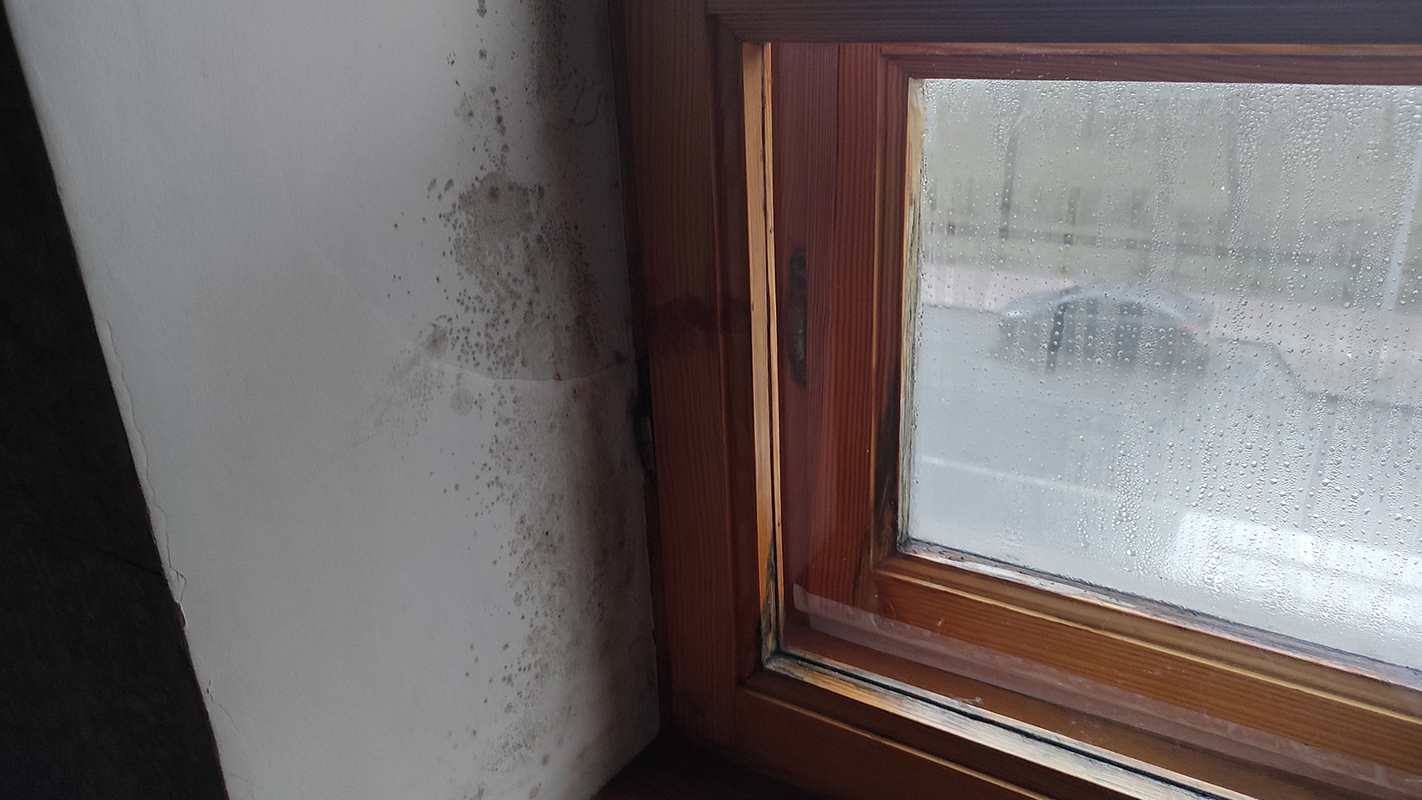 Часто пліснява з'являється на вікнах через погану вентиляцію. Фото: kp.ua