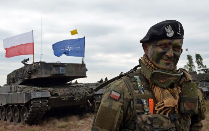 Польша стремится создать самую профессиональную и многочисленную армию в Европе. Фото: sprotyv.info