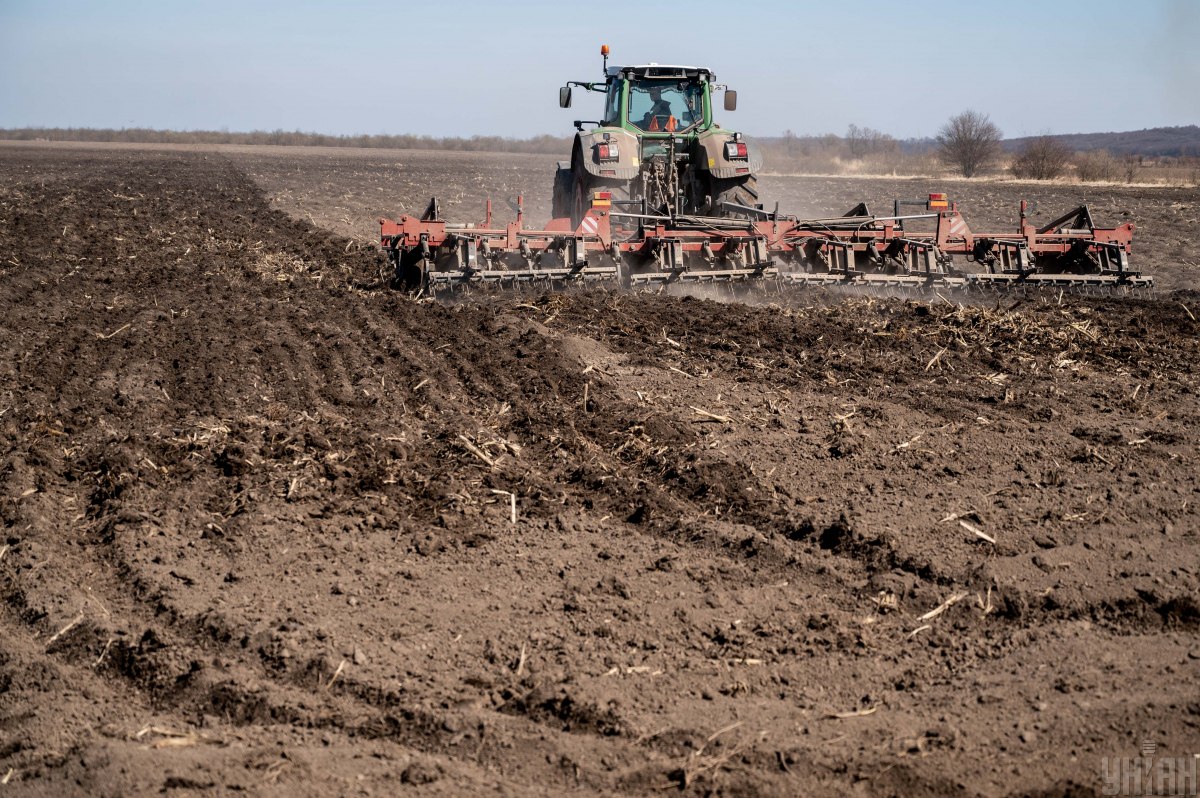 Кукурудзу в цьому році фермерам сіяти не дуже вигідно. Фото: Ратинський Вячеслав/ УНІАН