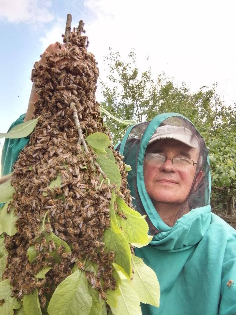 В Украине насчитывается около 3-3,5 миллиона семей пчел Фото: cukr.city/people/2021/bdzholyar  