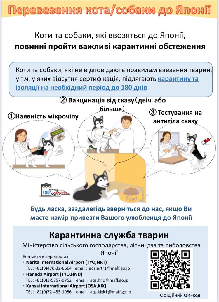 Зараз у Японії думають над тим, як просити для українських переселенців провіз домашніх тварин. Джерело: t.me/JapanforUkrainians/3