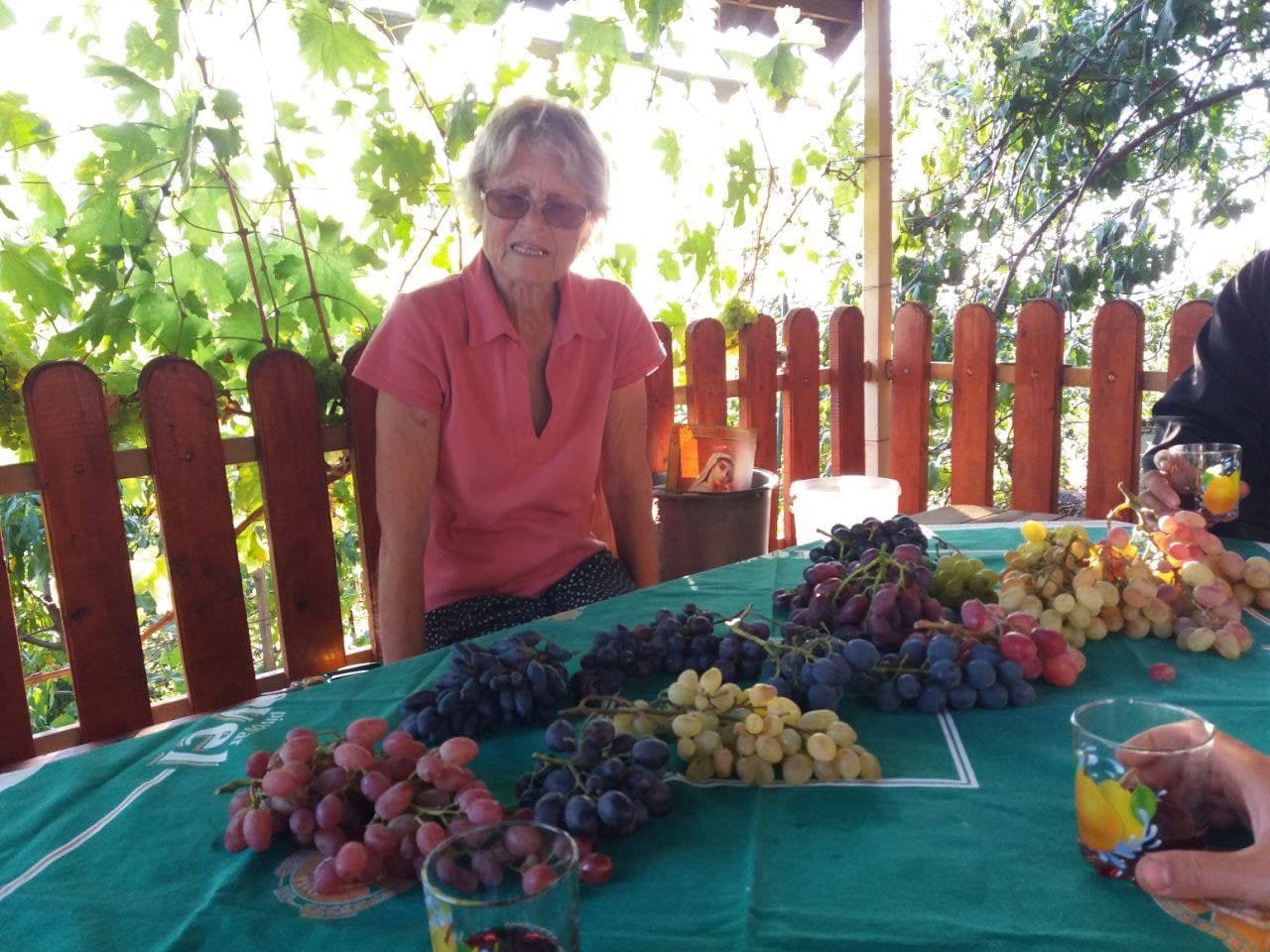 Тільки винограду - 150 сортів і 600 кущів. Фото: ФБ Наталії Мартишинець