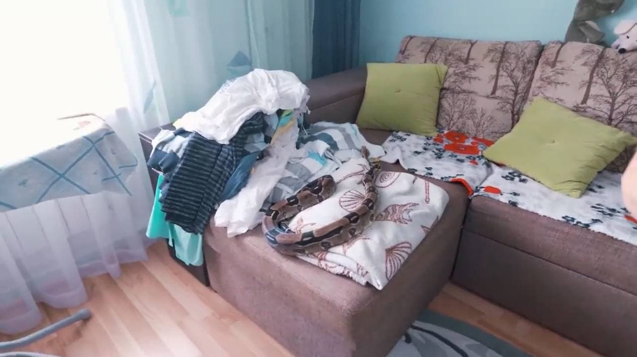 Скандальний блогер Волошин налякав батьків пранком зі зміями фото 3