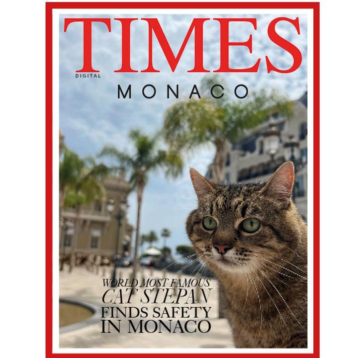 Харьковский кот Степан снялся для обложки журнала Times Monaco фото 1
