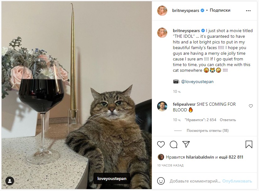 Брітні Спірс стала фанаткою кота Степана з України фото 1