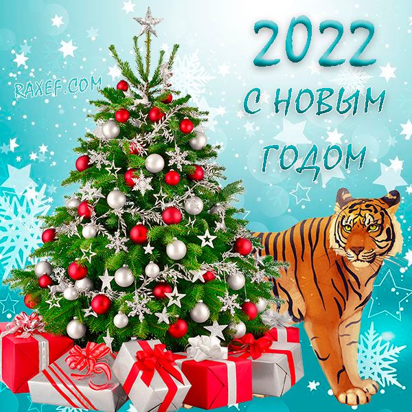 Короткие поздравления с Новым годом 2022 - Новости на KP.UA