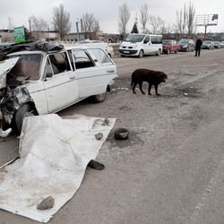 Фото: REUTERS