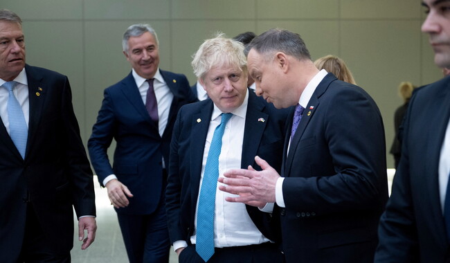 Премьер-министр Великобритании Джонсон и президент Польши Дуда. Фото: REUTERS