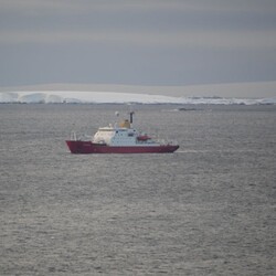Ледокол Ноосфера прибыл на станцию Академик Вернадский. Фото: facebook.com/AntarcticCenter