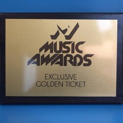 Золотой билет)= от музыкальной премии M1 Music Awards Фото:  предоставлено порталом "МУЗВАР" 