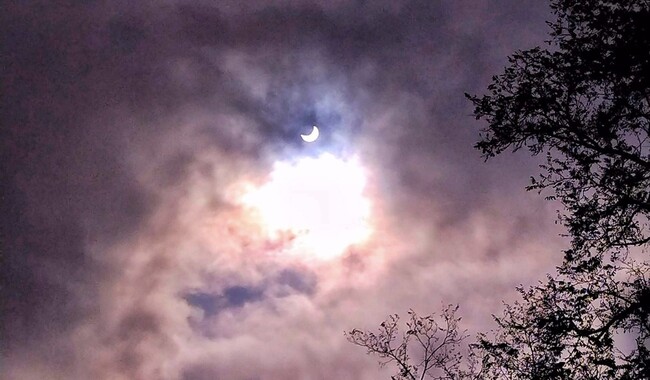 Часткове сонячне затемнення 25 жовтня у Полтаві. Фото: facebook.com/pages/Шедиево