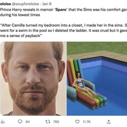 Принц Гаррі розповідає в мемуарах «Запасний», що The Sims були його віддушиною у найважчі часи: «Після того, як Камілла перетворила мою спальню на гардероб, я зробив її в The Sims. Вона пішла купатися в басейні, і я прибрав сходи. Це було жорстоко, але це дало мені відчуття розплати».