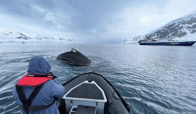 Фото:facebook.com/AntarcticCenter