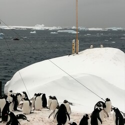 Фото: facebook.com/AntarcticCenter