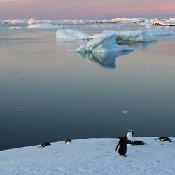 Фото: facebook.com/AntarcticCenter