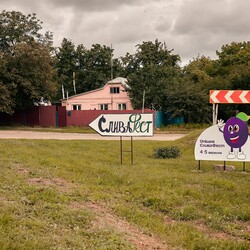 В этом году впервые за время войны проведут праздник "СливаФест". Фото: ФБ Опішнянська територіальна громада