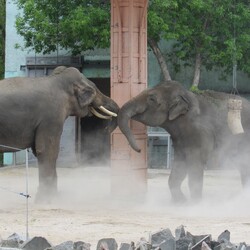 Фото: facebook.com/nikolaevzoo